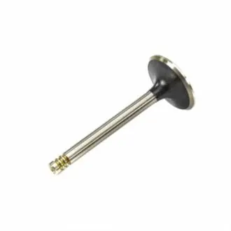 Впускной клапан BGA V033022