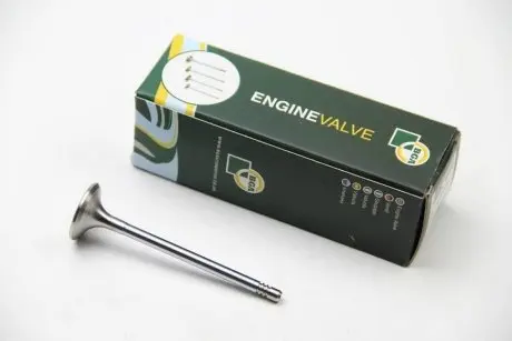 Выпускной клапан BGA V142050