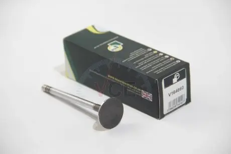 Впускной клапан BGA V164660