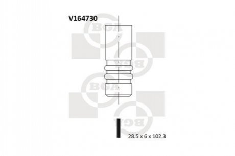 Впускний клапан BGA V164730 (фото 1)