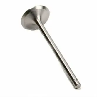 Впускний клапан BGA V996033