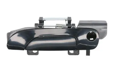 Ручка двери BLIC 6010-03-004401P