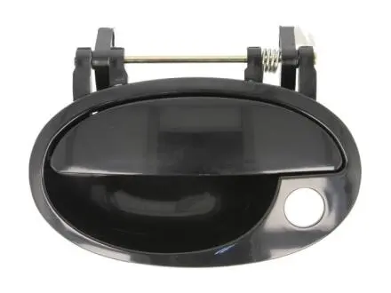 Ручка дверей BLIC 6010-04-040401P