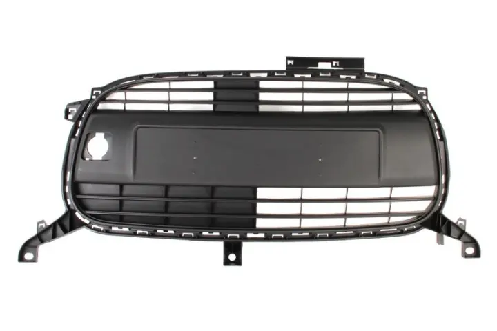 Решетка радиатора BLIC 6502070501991Q (фото 1)