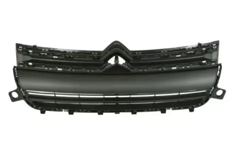 Решетка радиатора BLIC 6502070554990Q