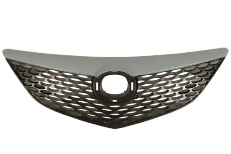 Решетка радиатора BLIC 6502073476992Q