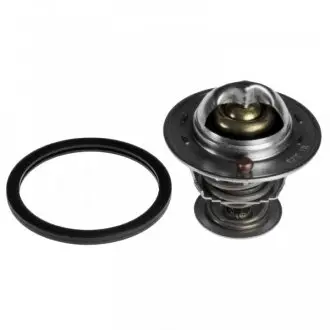 Ниссан термостат Blue Print ADN19222