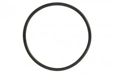 Кольцо кр.56х275 BMW 11667566483