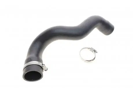 Впускная труба BOGAP A1711121