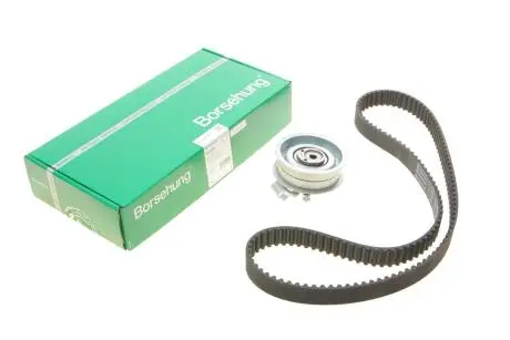 Комплект грм vw golf/touran 1.6/2.0ecofuel 03-13 Borsehung B10219