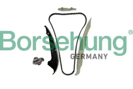 Комплект цепей ГРМ VAG Borsehung B10253