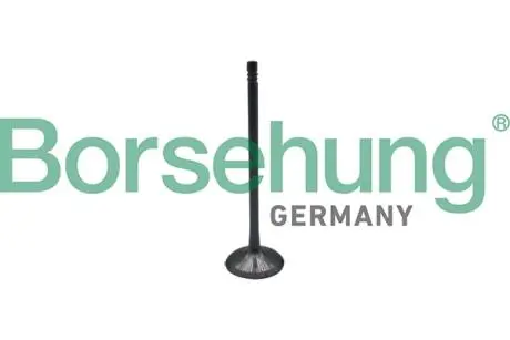 Впускной клапан oe Borsehung B10323