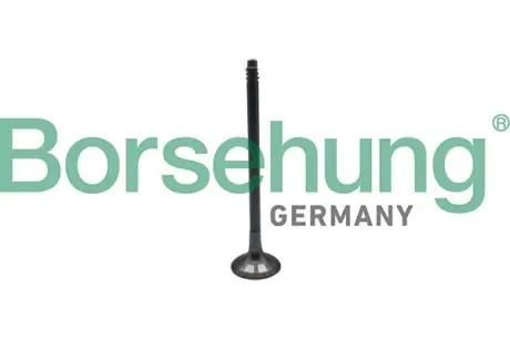 Выпускной клапан oe Borsehung B10324