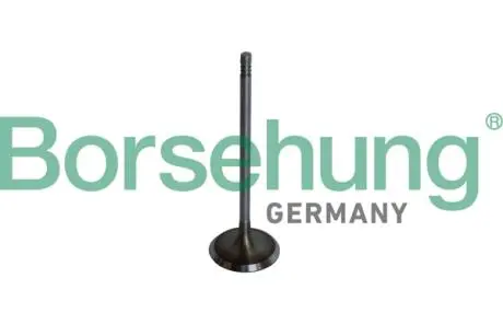 Впускной клапан oe Borsehung B10325