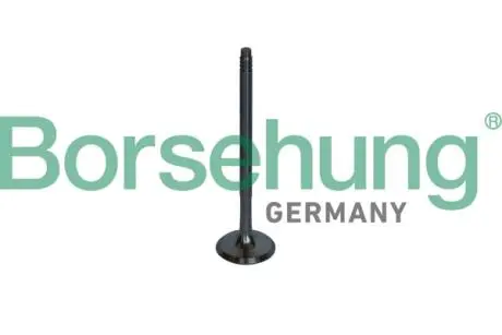 Выпускной клапан oe Borsehung B10326