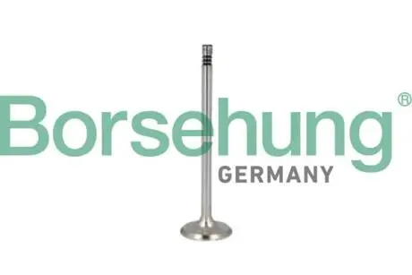 Клапан (выпуск) BMW 5 (G30/F90) 2.0 i/3.0 i (B58/N48/N46) 16- Borsehung B10350