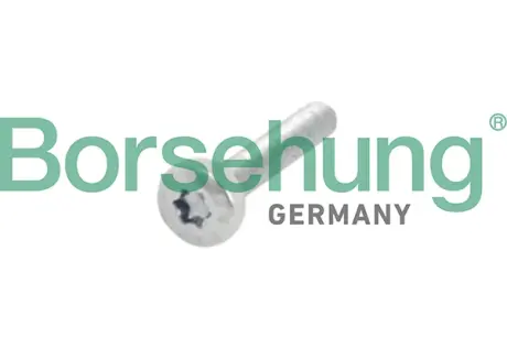 Гвинт, зубчасте колесо кулачкового валу Borsehung B10634