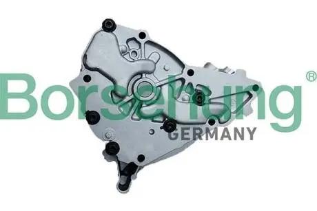 Насос масляный Borsehung B11902