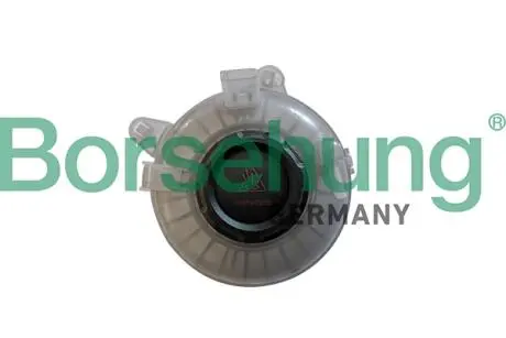 Компенсационный бачок с крышкой 2q0121321a Borsehung B11939