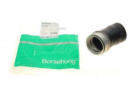 Трубка повітря, що нагнітається Borsehung B11982 (фото 1)