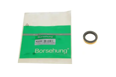 Уплотнительное кольцо вала, вал выжимного подшипника. Borsehung B12192