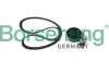 К-кт роликів, пас полікліновий. Borsehung B12361 (фото 1)