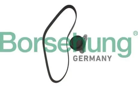 К-кт роликов, пас поликлиновый. Borsehung B12362