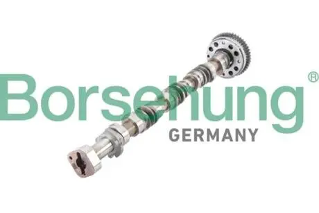 Распределительный вал Borsehung B12380