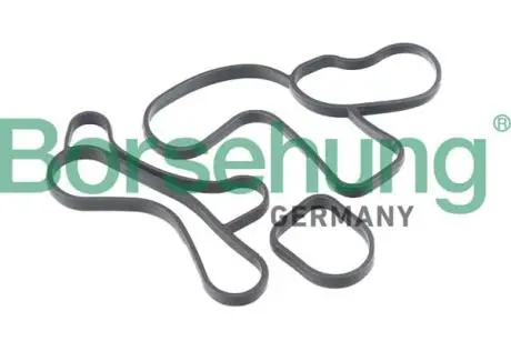 Прокладка масляного радиатора Borsehung B12530