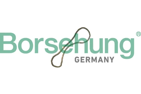 Цепь грм Borsehung B12769