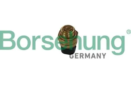 Термовыключатель, вентилятор радиатора Borsehung B13130