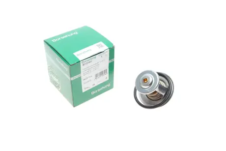 Термостат, охлаждающая жидкость Borsehung B13141