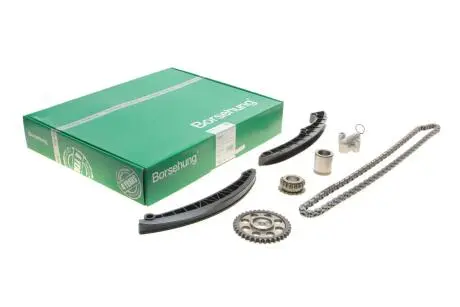Комплект цепи привода распредвала Borsehung B16299