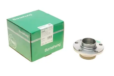 Комплект подшипника ступицы колеса Borsehung B18297