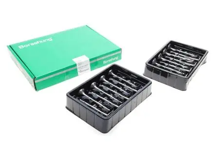 Впускной клапан Borsehung B18637