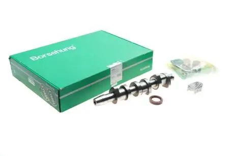 Комплект розподільного валу Borsehung B18665