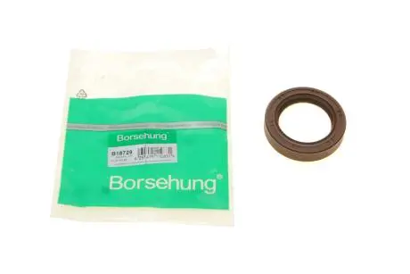 Уплотняющее кольцо, распределительный вал Borsehung B18729