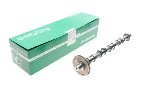 Распредвал Borsehung B18980