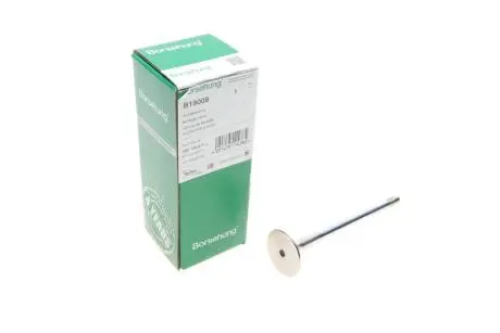 Випускний клапан Borsehung B19008