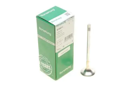 Клапан (выпуск) audi a4/a6/vw golf v/vii 1.8tsi-4.2fsi 02- Borsehung B19011