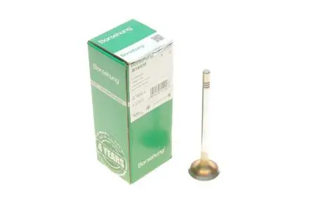 Впускной клапан Borsehung B19020