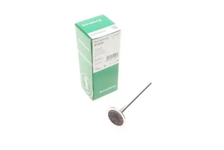 Впускной клапан Borsehung B19026