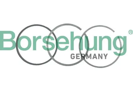 Комплект поршневих кілець Borsehung B19043