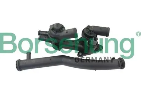 Термостат, охлаждающая жидкость Borsehung B19086