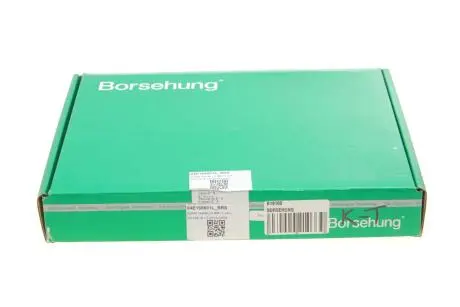Клапан Borsehung B19160