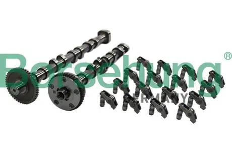 Комплект распредвала Borsehung B19173