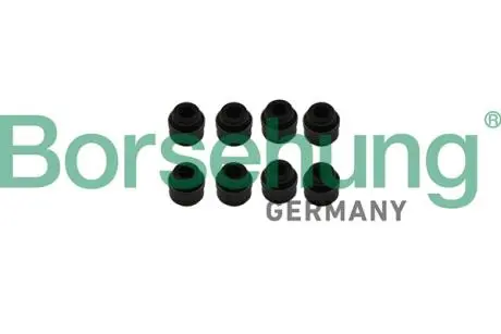 Уплотнительное кольцо, стержень клапана Borsehung B19239