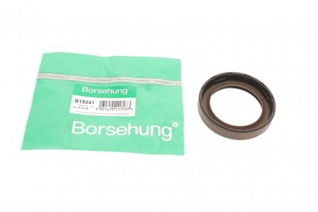Уплотняющее кольцо, коленчатый вал Borsehung B19241