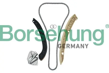 Комплект ланцюга приводу розподільного валу Borsehung B19256