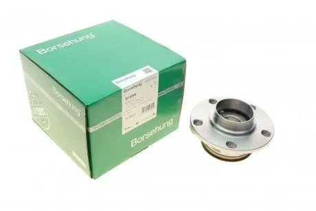 Підшипник маточини Borsehung B19285